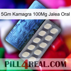 5Gm Kamagra 100Mg Oral Jelly 34